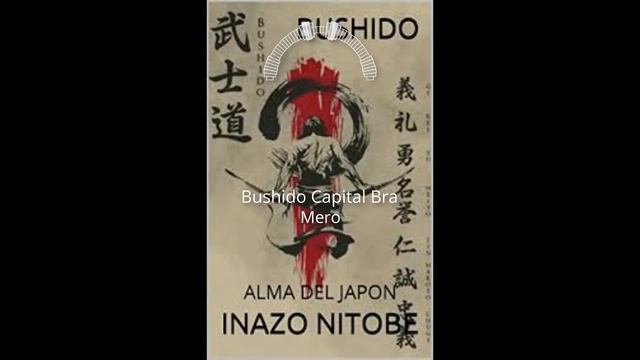 BUSHIDO & CAPITAL BRA & MERO  FLERFLEXT (REMIX) смотреть онлайн