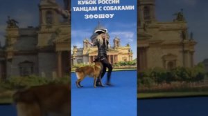 Учёный пёс: танцы с собаками. Ильина Полина и Малинуа Сабур Гранд. «По безграничным морям»