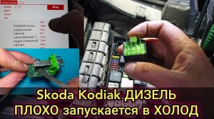 Skoda Kodiak затруднён запуск на холодную. Блок управления свечей накаливания, недостоверный сигнал.