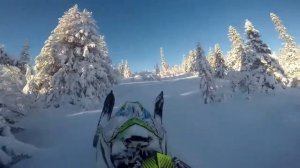 снегоход Arctic Cat Ascender по лесу 3