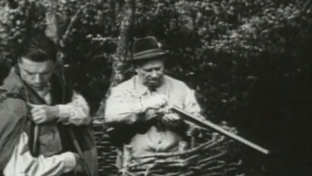 "Намедни" год 1965 смотреть онлайн