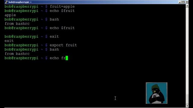 LPIC-1 102 Customize and use the shell environment смотреть онлайн