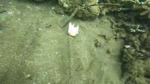 Нашел жену филиппинку в деревне, ее образование // Наш быт на Филиппинах