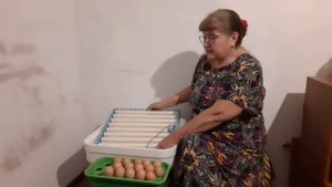 У меня новый инкубатор ""ПТИЧИЙ ДВОР""