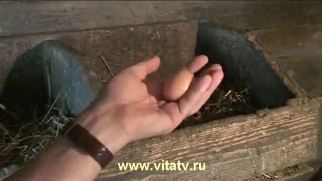 Советы народного целителя смотреть онлайн