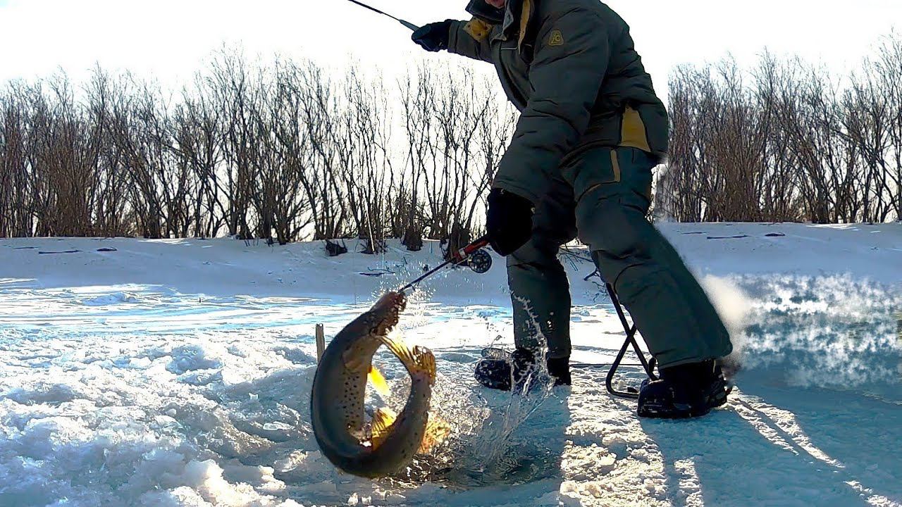 Глухозимье на Амуре. Февральская рыбалка на щук смотреть онлайн