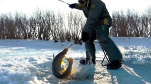 Глухозимье на Амуре. Февральская рыбалка на щук