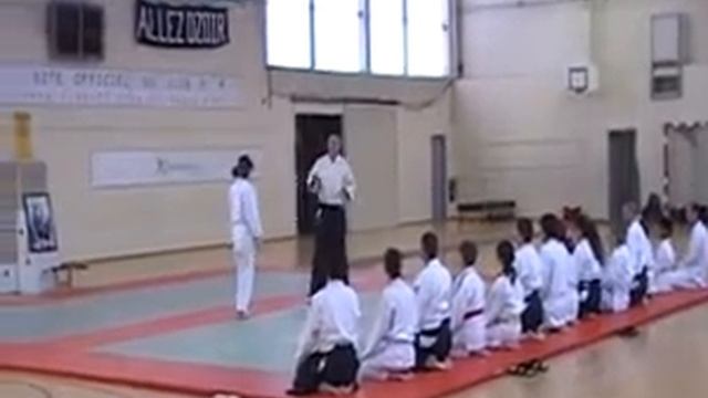 Aikido tendoryu Pascal Olivier training 003 смотреть онлайн