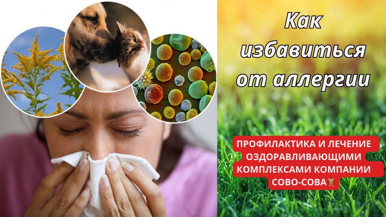 Прививка от аллергии