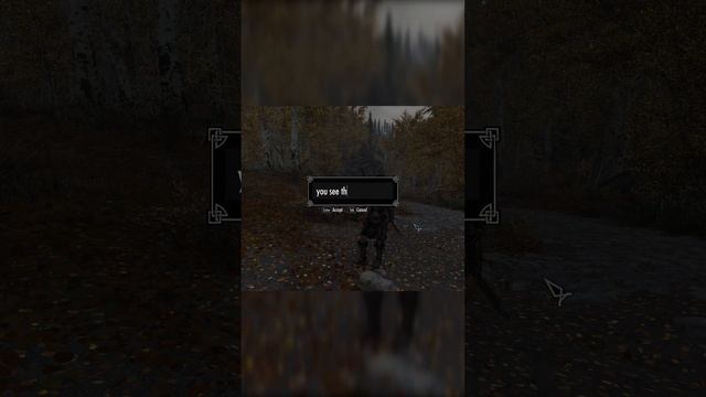 Herika (ChatGPT Skyrim Companion) tries to enter Riften