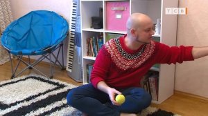 Домашний енот