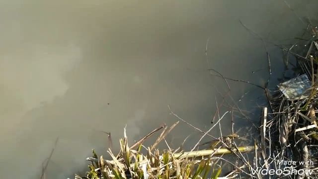 Бутово. Ивановский пруд. 21.04.18 смотреть онлайн