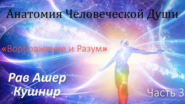 Анатомия Человеческой Души 3. «Воображение и Разум»