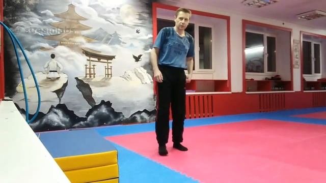 Тренировка Каратэ онлайн. (дома)