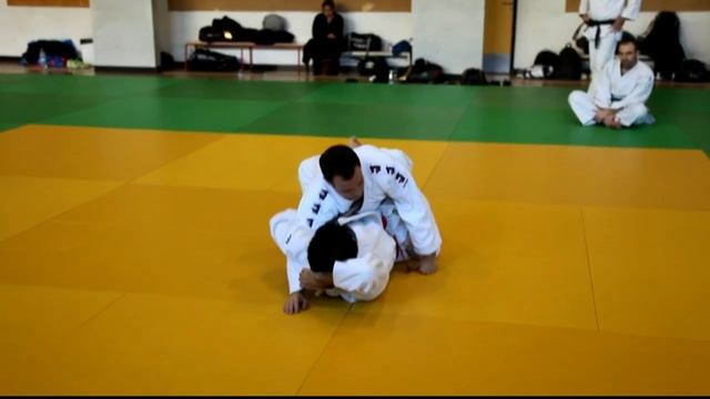 Stage Ne Waza judo Brésilien смотреть онлайн