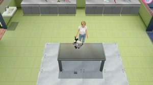 Let's Play Pet Vet 3D Animal Hospital Part 2