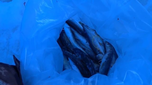 Рыбалка на Свободном в воскресенье смотреть онлайн