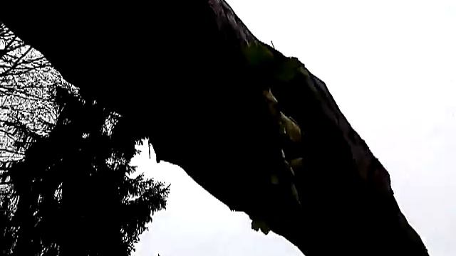 Везде есть жизнь(life) смотреть онлайн