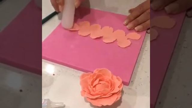 Linsey Mcivor - Viennese Swirls - Facebook Live 12/06/17
