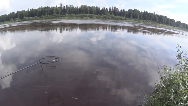 Сорога монстр #2 смотреть онлайн