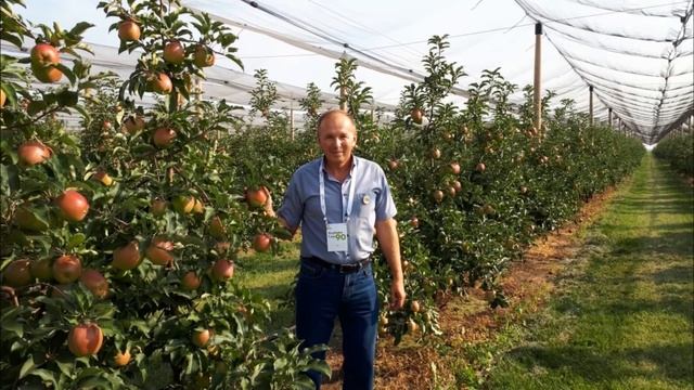 Совхоз липецкий. Агроном сад Лебедянь. Агроном сад Липецк. Агроном Липецкая область. Лебедянь яблоки агроном.