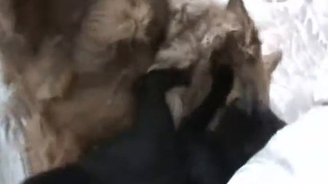 Любовь похожая на сон смотреть онлайн