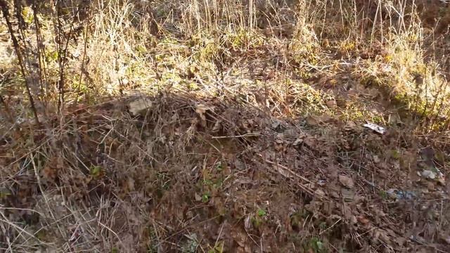 Усадьба Петровское-Княжищево Демидовых-Мещерских (1780е г.), Московская обл Алабино смотреть онлайн