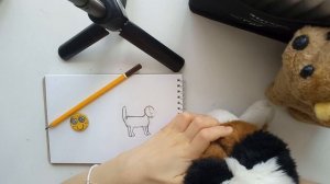 учимся рисовать собаку!!!🐕🎨