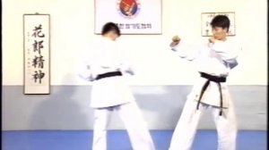 Хапкидо KHF базовая техника (кибон) Часть 1.