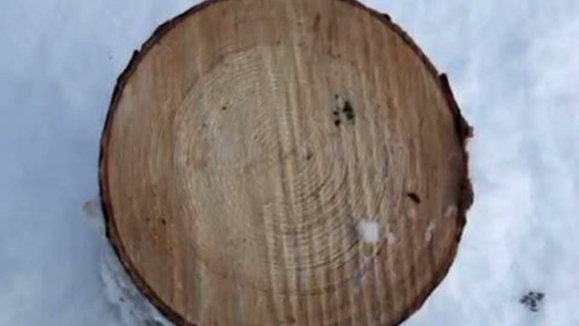 Первые уроки ориентирования