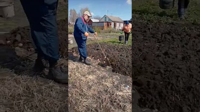 Весна, посадка картофеля под лопату монаха.