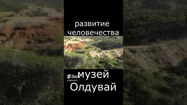 ущелье Олдувай - панорама