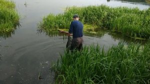 Ловля Живца. Супер НАЖИВКА ДЛЯ ЛОВЛИ СОМА,ОКУНЯ,ЩУКИ. ЩИПОВКА (шиповка). Как ловить Шиповку? рыбалк