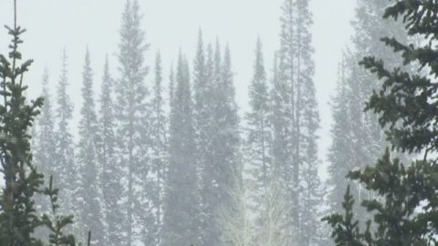 ВИА "Пламя". СНЕГ КРУЖИТСЯ.