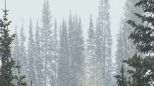 ВИА "Пламя". СНЕГ КРУЖИТСЯ.