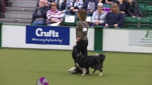 Obedience - Bitch Championship - Part 12 | Crufts 2018