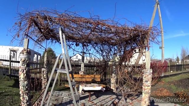 На дачу ходим и в ноябре. Собираем урожай. Встреча с друзьями.Vlog.Брест смотреть онлайн