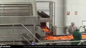 Паровая чистка моркови. Оборудование для очистки картофеля и др. овощей, персика, папайи от кожуры.