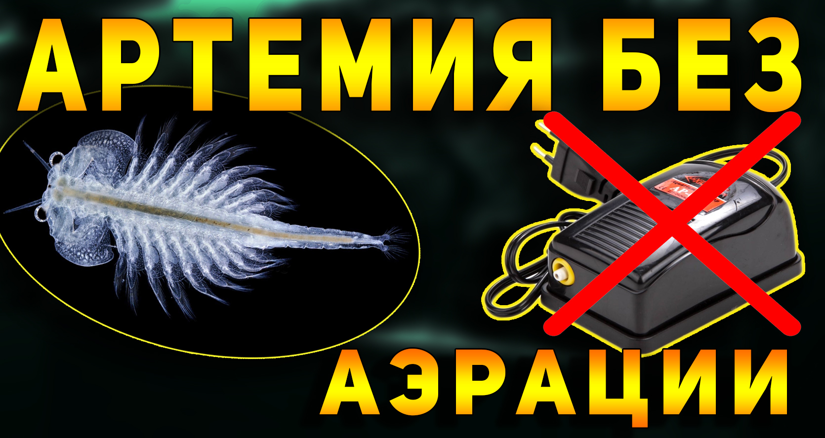 РАЗВЕДЕНИЕ АРТЕМИИ ДОМА БЕЗ АЭРАЦИИ, ПОДОГРЕВА И ПОДСВЕТКИ! ИНКУБАТОР ДЛЯ АРТЕМИИ! смотреть онлайн