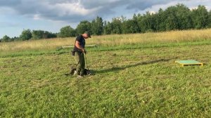 Дрессировка щенка с нуля (день 13)