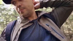 Грибы осенью. Финский лес