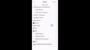 Обзор финансовой программы "ДЗЕН МАНИ"