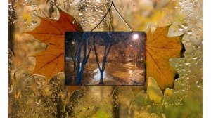 Осеннее настроение. Турецкая скрипка.