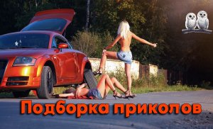 Подборка приколов/Смех до слез/Лучшие приколы!!!