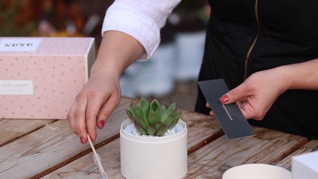 Succulent Unboxing & Valentine’s Giveaway! 🌵📦😊// Garden Answer смотреть онлайн