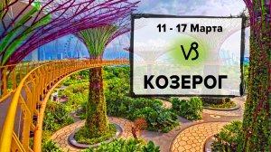 КОЗЕРОГ ♑ 11 - 17 Марта 2024 | Расклад таро на неделю для знака Зодиака Козерог