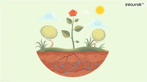 Окружающий мир. Живое и неживое