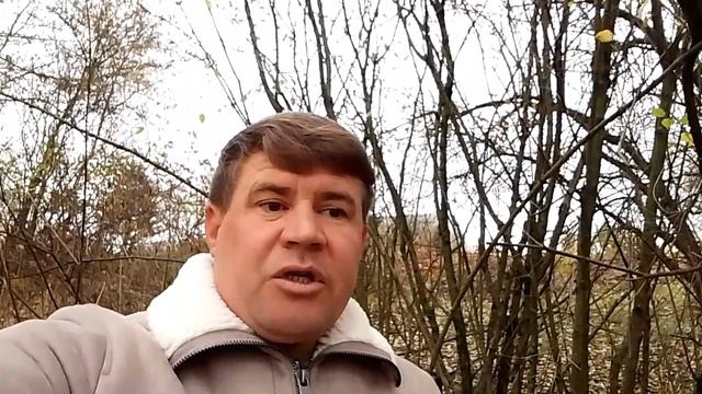 Мыслительные шаблоны.
