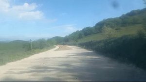 Видео WhatsApp 2024-04-22 в 11.59.16_84bf7c3d