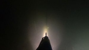 Ловля Крупных Линей.Много Щуки.Подводная Охота В Мае.Камышевая Рыбалка